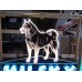 New Husky Porcelain Neon Sign 72 " W x 58" H